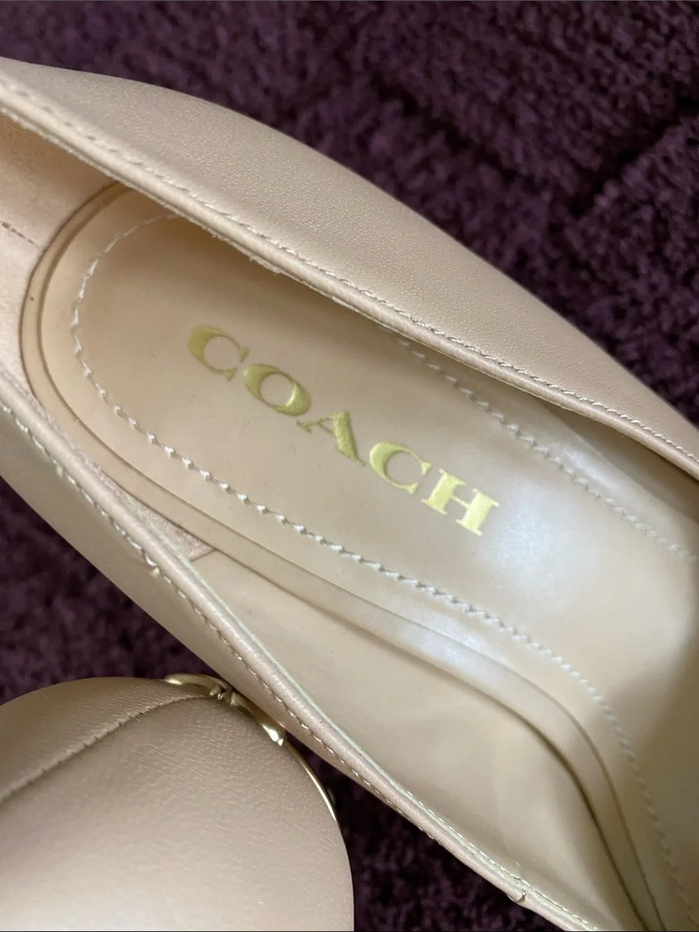 Coach Women's Pointed-Toe Pumps in Blush Nude